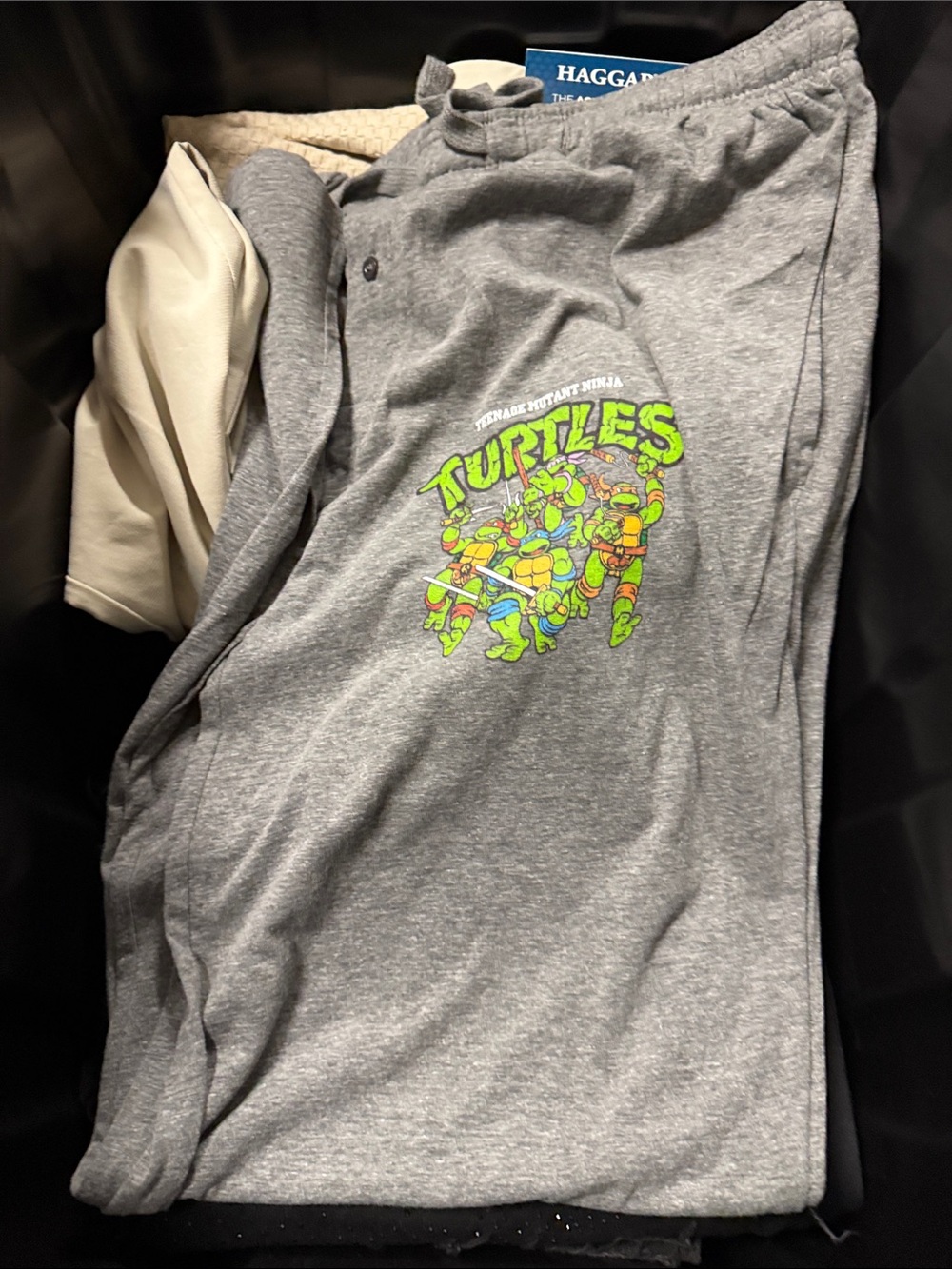 Teenage Mutant Ninja Turtles Gray Graphic Lounge pants